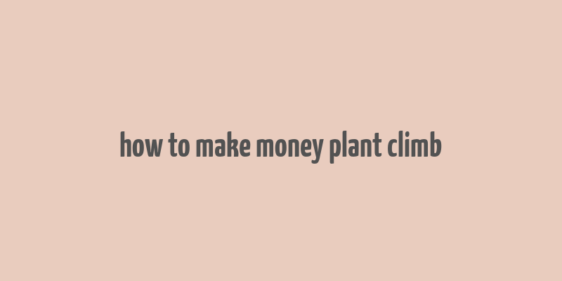 how to make money plant climb