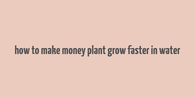 how to make money plant grow faster in water