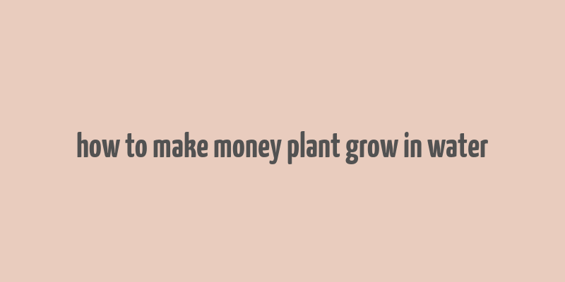 how to make money plant grow in water