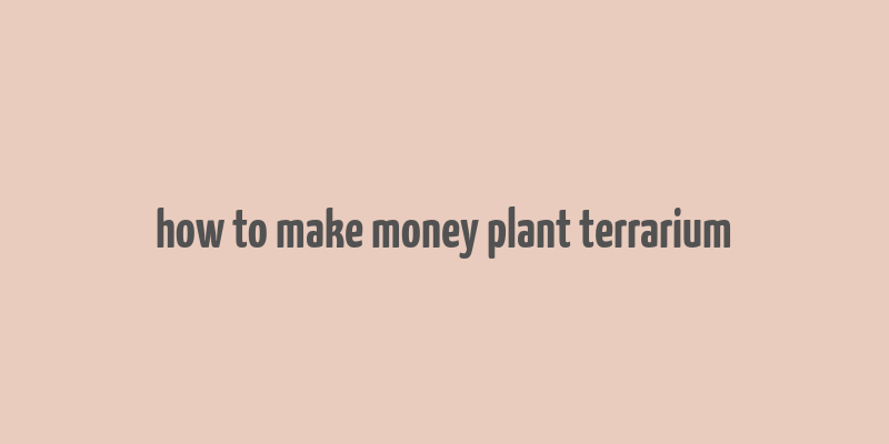 how to make money plant terrarium