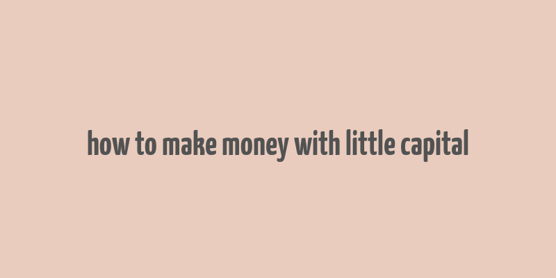 how to make money with little capital