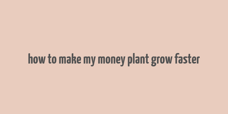 how to make my money plant grow faster