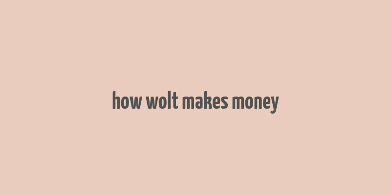 how wolt makes money