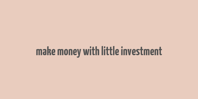 make money with little investment