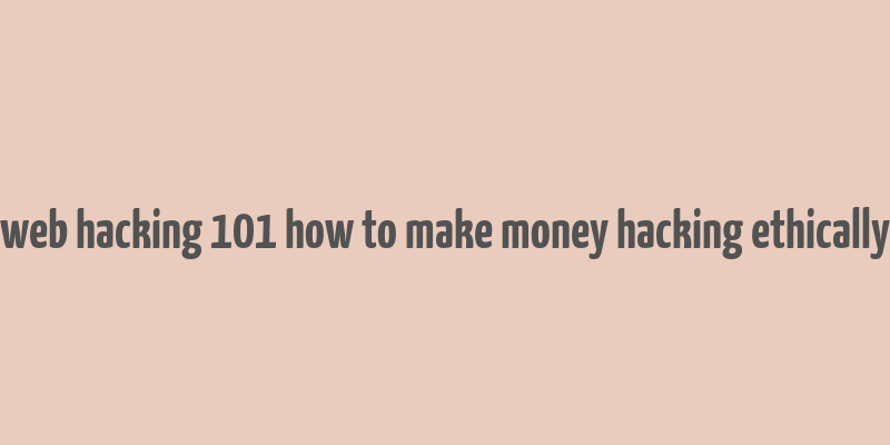 web hacking 101 how to make money hacking ethically