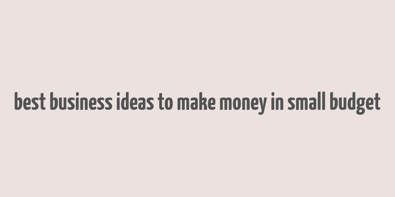 best business ideas to make money in small budget