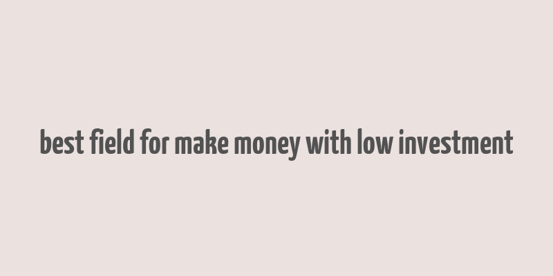 best field for make money with low investment