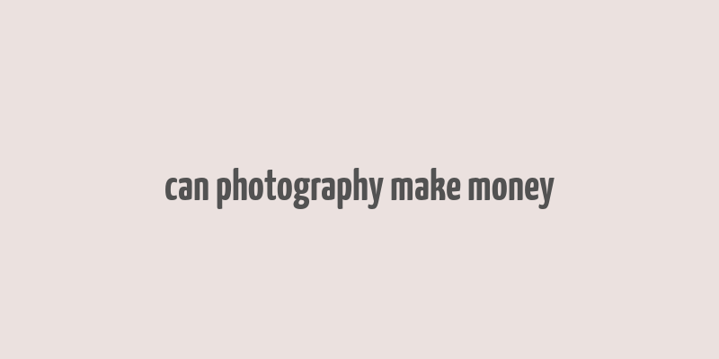 can photography make money