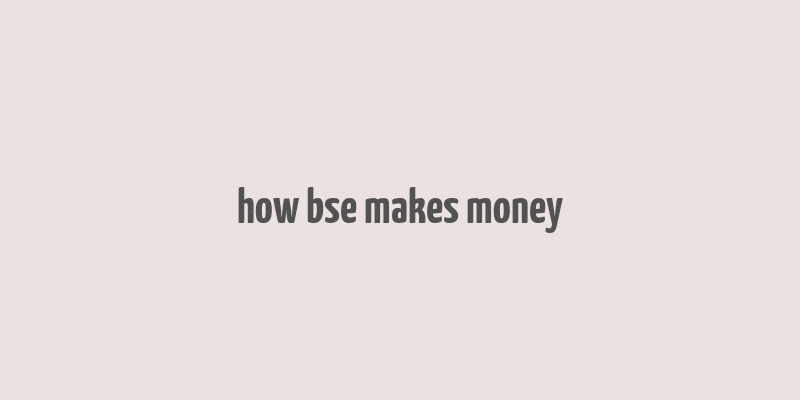 how bse makes money