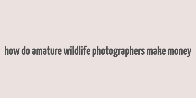 how do amature wildlife photographers make money