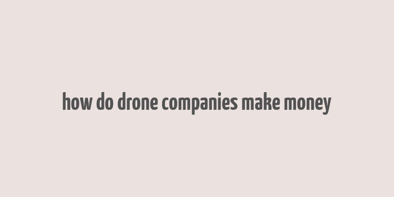 how do drone companies make money