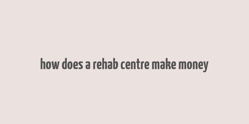 how does a rehab centre make money