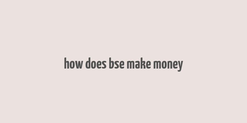 how does bse make money