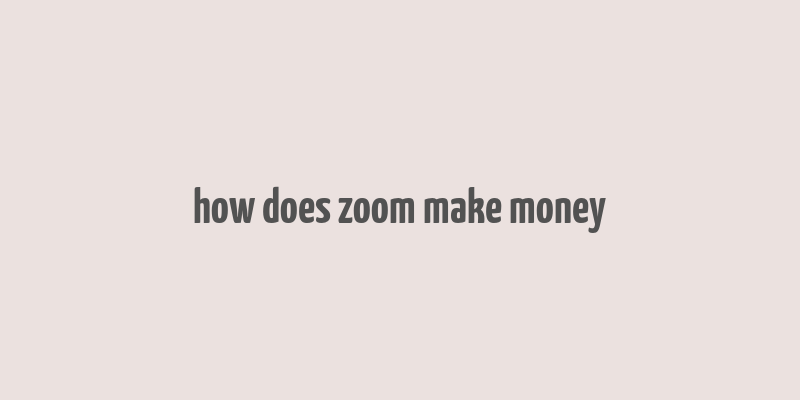 how does zoom make money