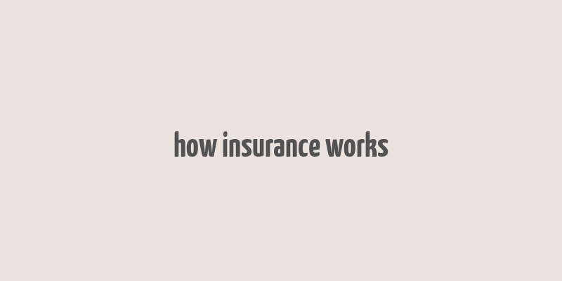 how insurance works