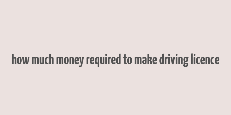 how much money required to make driving licence