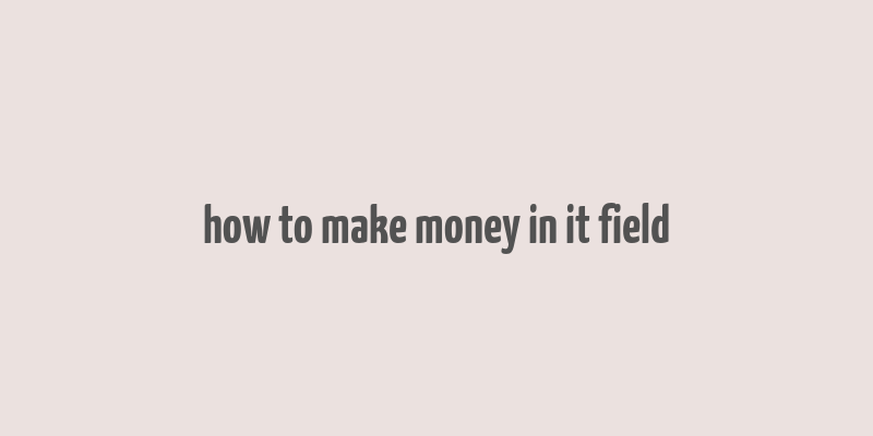 how to make money in it field