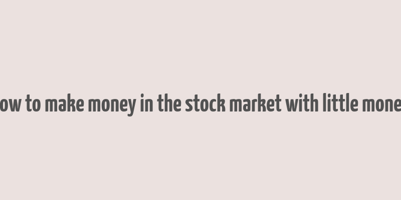 how to make money in the stock market with little money