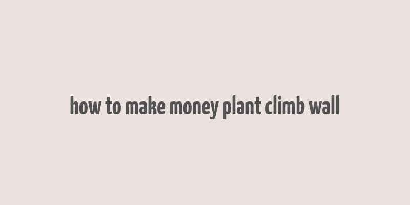 how to make money plant climb wall