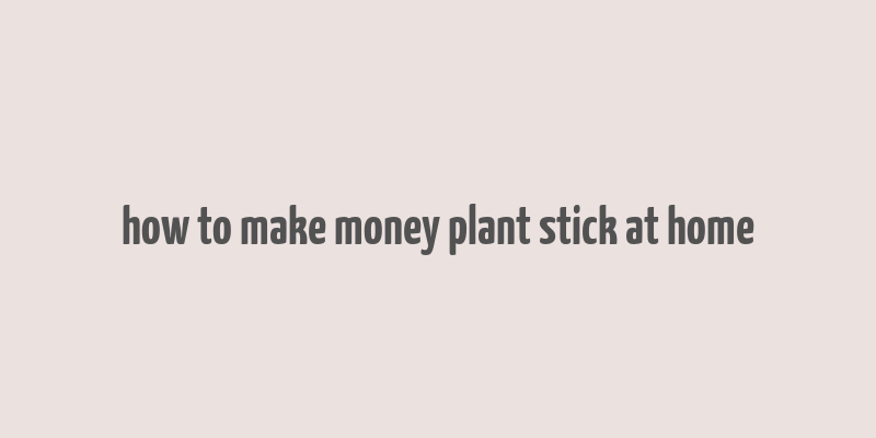 how to make money plant stick at home