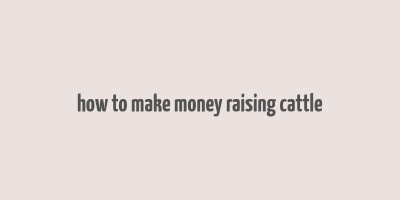 how to make money raising cattle