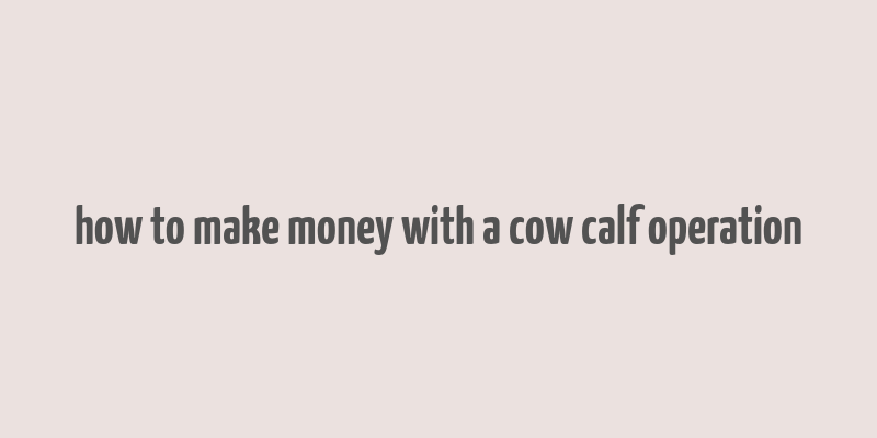 how to make money with a cow calf operation