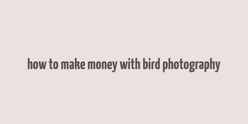 how to make money with bird photography