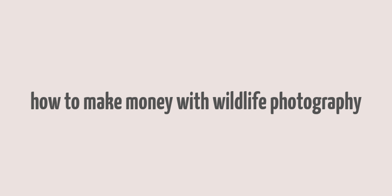 how to make money with wildlife photography