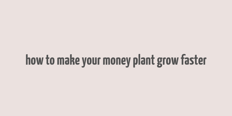 how to make your money plant grow faster