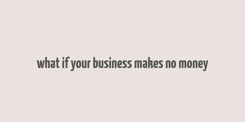 what if your business makes no money