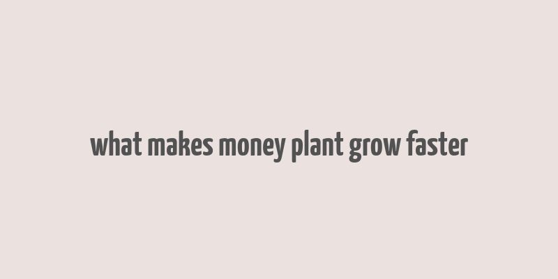 what makes money plant grow faster