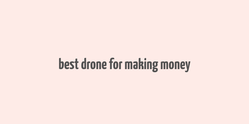 best drone for making money