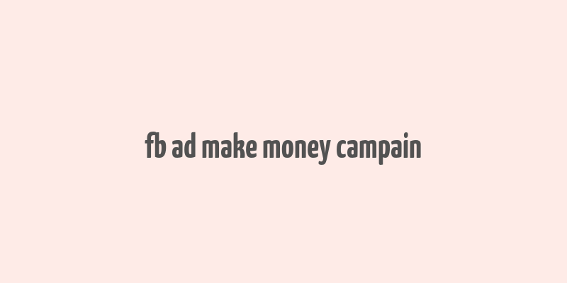 fb ad make money campain