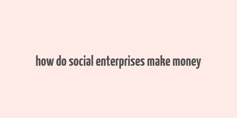 how do social enterprises make money