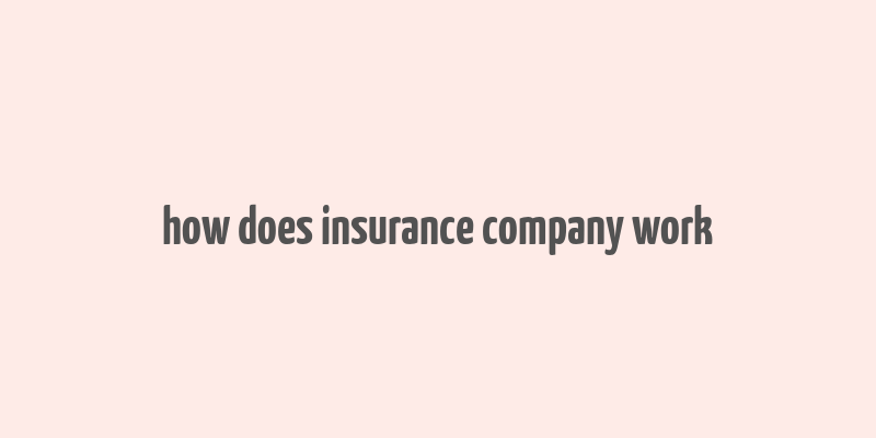 how does insurance company work