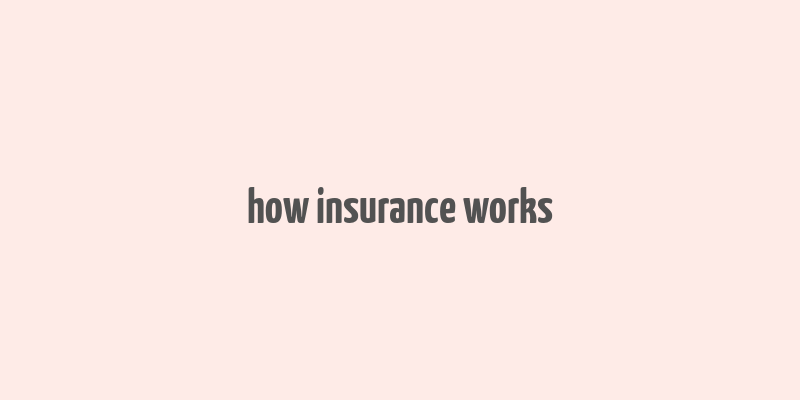 how insurance works