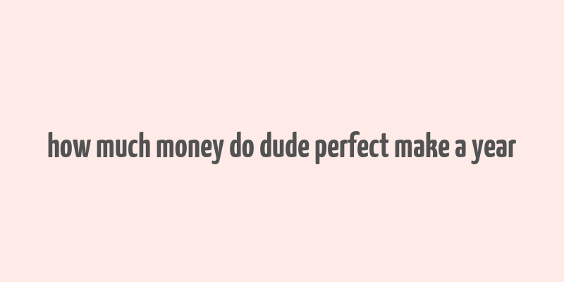 how much money do dude perfect make a year