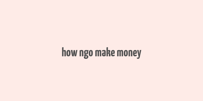 how ngo make money