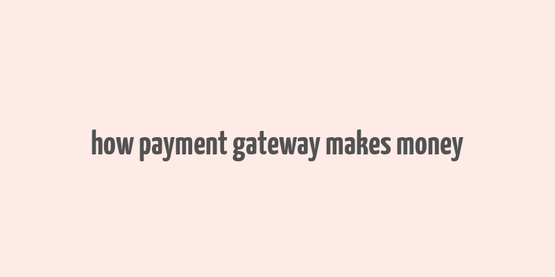 how payment gateway makes money