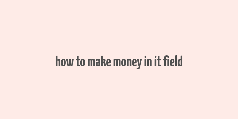 how to make money in it field