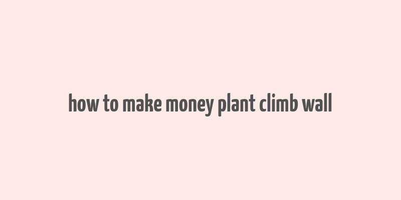 how to make money plant climb wall