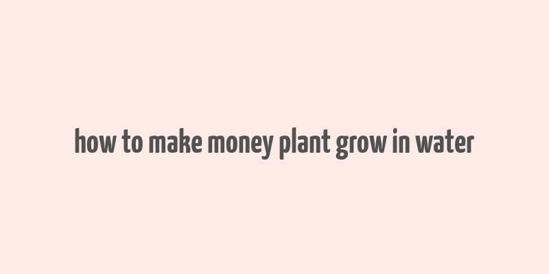 how to make money plant grow in water