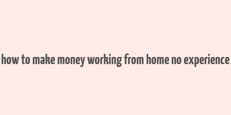 how to make money working from home no experience