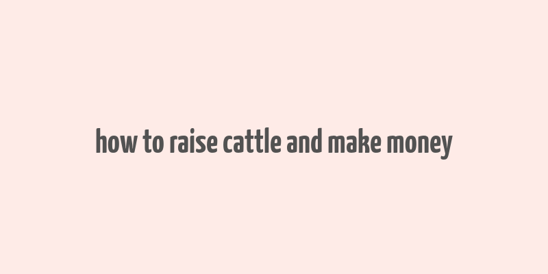 how to raise cattle and make money