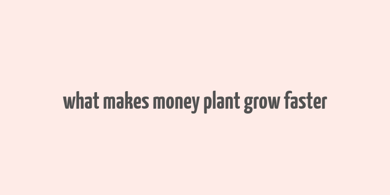 what makes money plant grow faster