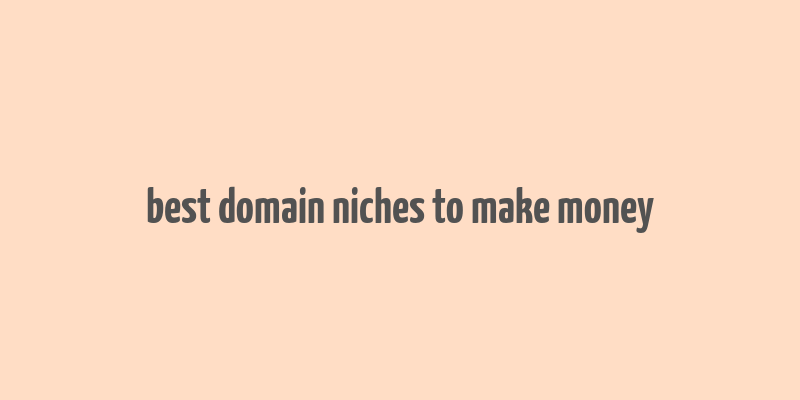 best domain niches to make money