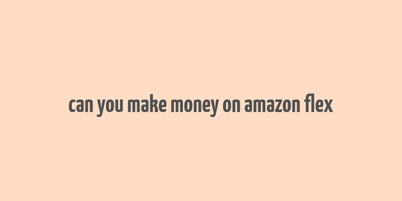 can you make money on amazon flex