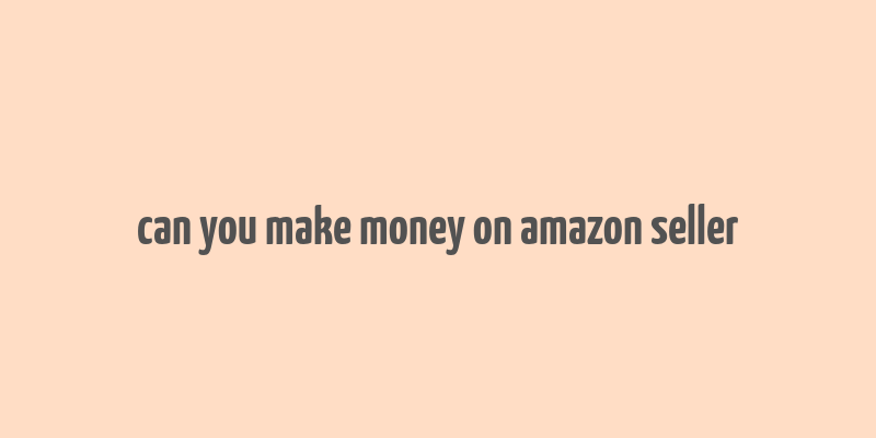 can you make money on amazon seller