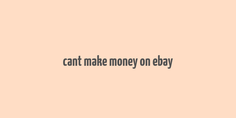 cant make money on ebay