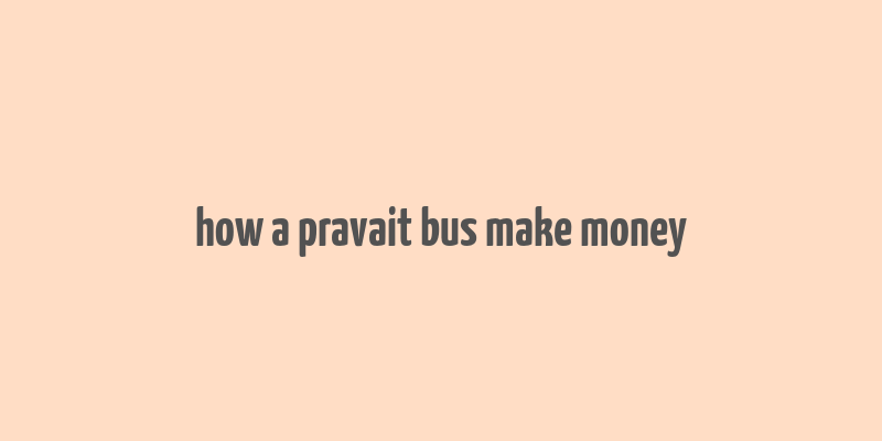 how a pravait bus make money